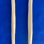 workshop bones
