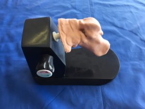 Surgical Training
